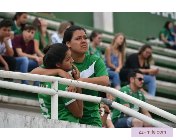 博塔弗戈巴甲痛失巨大积分领先优势 错失冠军机会引发球迷热议